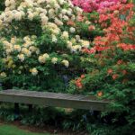 Flower & Bench