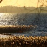 Sparkling Lake
