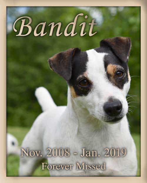 Pet Grave Marker Design