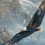 Eagle Flying