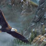 Eagle Flying Mountains