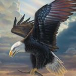 Eagle On Branch