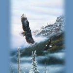 Eagle Portrait