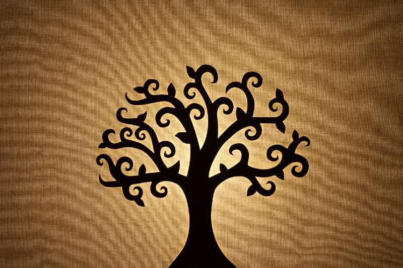 Stay In Touch With History Ancestry