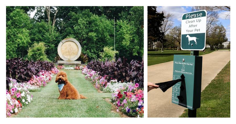 Pet Etiquette At Your Local Cemetery Grounds