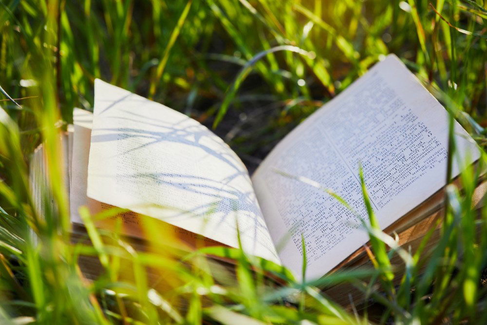 Have A Remembrance Ceremony For Loved One