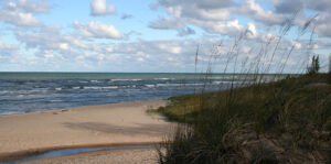 Bg Ocean