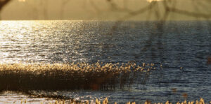 Bg Sparkling Lake