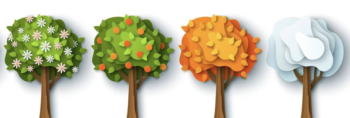A drawing of 4 trees (one for each season)