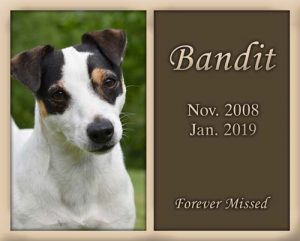 Pet Memorial